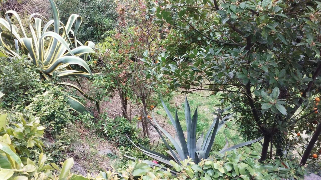 Bed and Breakfast Il Capriolo Celle Ligure Zewnętrze zdjęcie